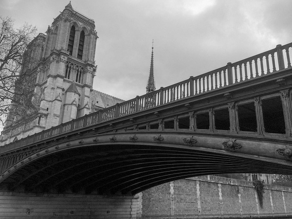 Paris under the bridge