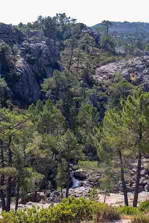 Corsica dal en beek