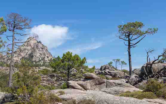 Corsica