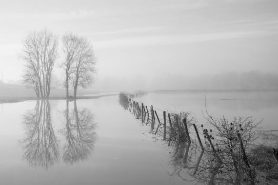 Reflet dans la brume